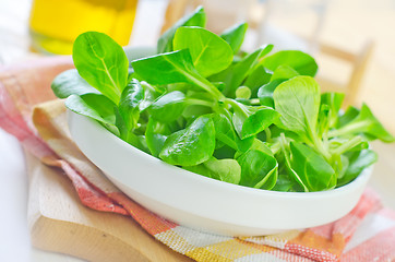 Image showing corn salad