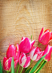 Image showing Tulips