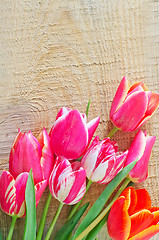 Image showing Tulips