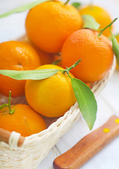 Image showing mandarins