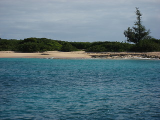 Image showing Caribbean costline