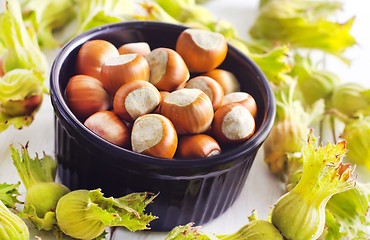 Image showing hazelnuts