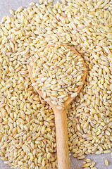 Image showing wheat