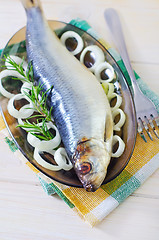 Image showing herring