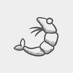 Image showing Shrimp sketch icon