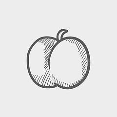 Image showing Fruit sketch icon