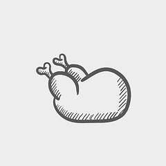 Image showing Raw chicken sketch icon