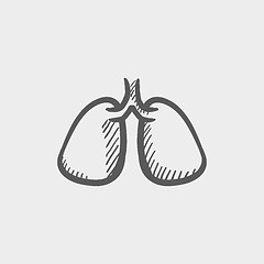 Image showing Lungs sketch icon