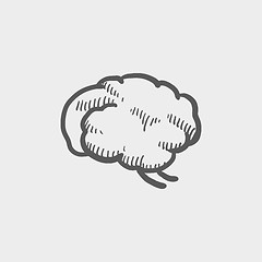 Image showing Human brain sketch icon