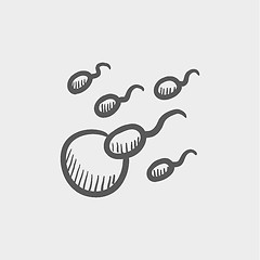 Image showing Sperm and egg cells sketch icon