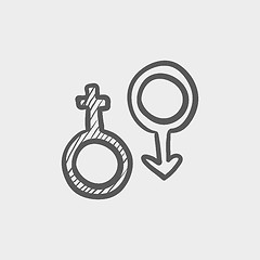 Image showing Male and female symbol sketch icon