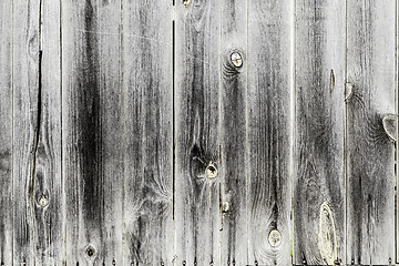 Image showing Dark Wood Texture Background