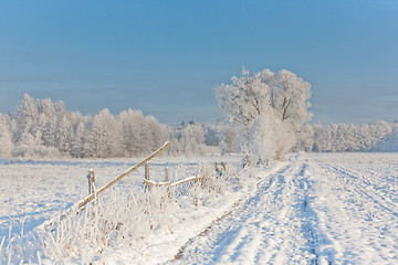 Image showing Winter landscape with trees snow wrapped and road