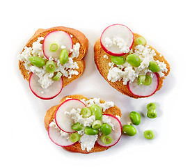 Image showing toasted bread with radish and cottage cheese