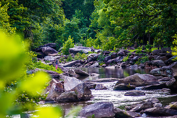 Image showing broad river flowing through wooded forest