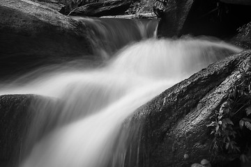 Image showing broad river flowing through wooded forest