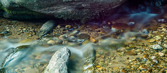 Image showing broad river flowing through wooded forest