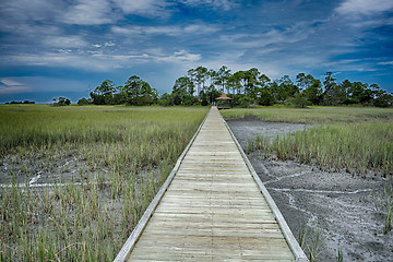 Image showing hunting island beach scenes 