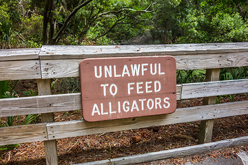 Image showing hunting island beach scenes 