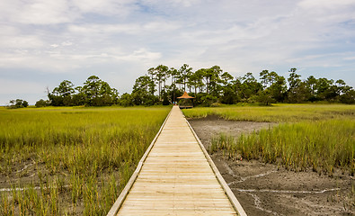 Image showing hunting island beach scenes 