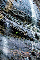 Image showing hickory nut waterfalls during daylight summer