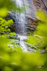 Image showing hickory nut waterfalls during daylight summer