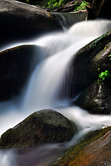 Image showing broad river flowing through wooded forest