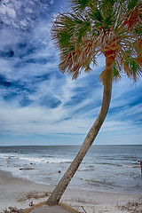 Image showing hunting island beach scenes 