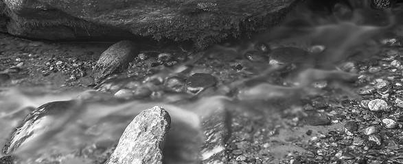 Image showing broad river flowing through wooded forest