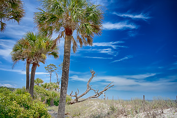 Image showing hunting island beach scenes 