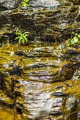 Image showing hickory nut waterfalls during daylight summer