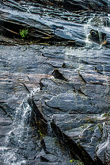 Image showing hickory nut waterfalls during daylight summer