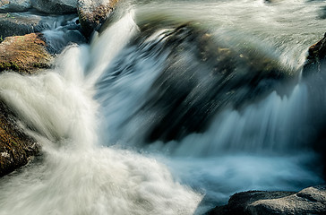 Image showing broad river flowing through wooded forest