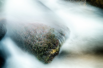 Image showing broad river flowing through wooded forest