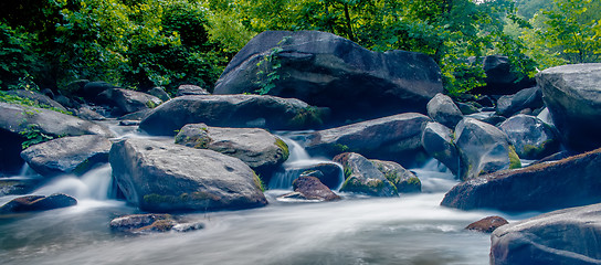 Image showing broad river flowing through wooded forest