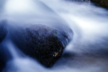 Image showing broad river flowing through wooded forest