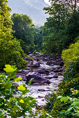 Image showing broad river flowing through wooded forest