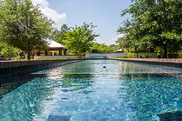 Image showing compass rose park in hilton head georgia