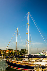 Image showing boats in harbour town of south beach hilton head