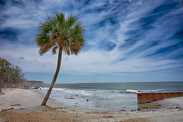 Image showing hunting island beach scenes 