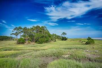 Image showing hunting island beach scenes 