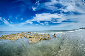 Image showing beach scenes at hunting island south carolina