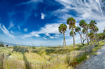 Image showing beach scenes at hunting island south carolina