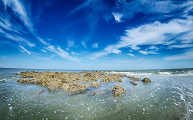 Image showing beach scenes at hunting island south carolina