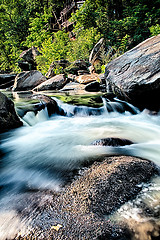 Image showing broad river flowing through wooded forest