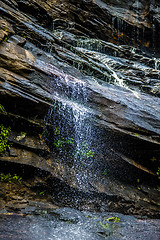 Image showing hickory nut waterfalls during daylight summer