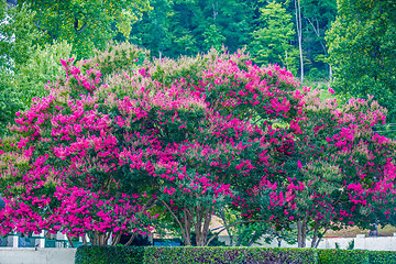 Image showing scenery around lake lure north carolina