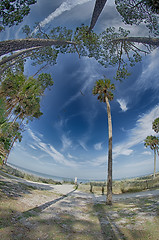 Image showing beach scenes at hunting island south carolina