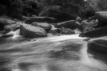 Image showing broad river flowing through wooded forest