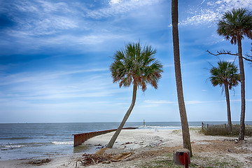 Image showing hunting island beach scenes 